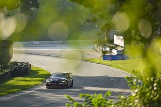 #36 BMW M4 GT4 (G82) EVO of James Clay and Charlie Postins, BimmerWorld Racing, GT4 America, Am, SRO America, Road America, Elkhart Lake, WI, Aug 15 - 17, 2025
 | Fred Hardy Jr. | www.FredHardyPhoto.com ©2025 