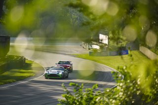 #39 Aston Martin Vantage AMR GT4 of Max Hewitt and Luca Mars, van der Steur Racing, GT4 America, Silver, SRO America, Road America, Elkhart Lake, WI, Aug 15 - 17, 2025
 | Fred Hardy Jr. | www.FredHardyPhoto.com ©2025 