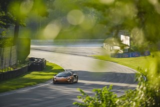 #33 McLaren Artura GT4 of Tony Gaples and Michael Cooper, Blackdog Racing, GT4 America, Pro-Am, SRO America, Road America, Elkhart Lake, WI, Aug 15 - 17, 2025
 | Fred Hardy Jr. | www.FredHardyPhoto.com ©2025 