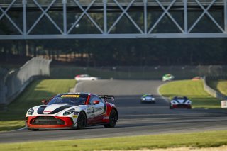#4 Aston Martin Vantage AMR GT4 EVO of Braydon Arthur and Mike David Ortmann, JMF Motorsports, GT4 America, Silver, SRO America, Barber Motorsports Park, Birmingham, AL, Sept 5 - 7, 2025
 | Fred Hardy Jr. | www.FredHardyPhoto.com ©2025 