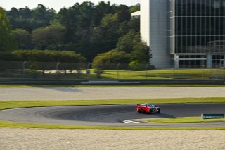 #606 BMW M4 GT4 (G82) EVO of Allen Patten and Laura Hayes, Thunder Bunny Racing, GT4 America, Am, SRO America, Barber Motorsports Park, Birmingham, AL, Sept 5 - 7, 2025
 | Fred Hardy Jr. | www.FredHardyPhoto.com ©2025 