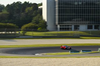 #606 BMW M4 GT4 (G82) EVO of Allen Patten and Laura Hayes, Thunder Bunny Racing, GT4 America, Am, SRO America, Barber Motorsports Park, Birmingham, AL, Sept 5 - 7, 2025
 | Fred Hardy Jr. | www.FredHardyPhoto.com ©2025 