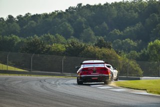 #82 BMW M4 GT4 (G82) EVO of James Walker Jr. and Tyler McQuarrie, BimmerWorld Racing, GT4 America, Pro-Am, SRO America, Barber Motorsports Park, Birmingham, AL, Sept 5 - 7, 2025
 | Fred Hardy Jr. | www.FredHardyPhoto.com ©2025 