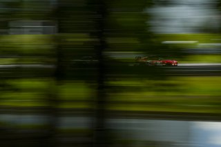 #82 BMW M4 GT4 (G82) EVO of James Walker Jr. and Tyler McQuarrie, BimmerWorld Racing, GT4 America, Pro-Am, SRO America, Barber Motorsports Park, Birmingham, AL, Sept 5 - 7, 2025
 | Fred Hardy Jr. | www.FredHardyPhoto.com ©2025 
