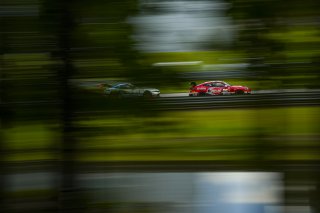 #82 BMW M4 GT4 (G82) EVO of James Walker Jr. and Tyler McQuarrie, BimmerWorld Racing, GT4 America, Pro-Am, SRO America, Barber Motorsports Park, Birmingham, AL, Sept 5 - 7, 2025
 | Fred Hardy Jr. | www.FredHardyPhoto.com ©2025 
