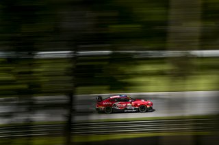 #82 BMW M4 GT4 (G82) EVO of James Walker Jr. and Tyler McQuarrie, BimmerWorld Racing, GT4 America, Pro-Am, SRO America, Barber Motorsports Park, Birmingham, AL, Sept 5 - 7, 2025
 | Fred Hardy Jr. | www.FredHardyPhoto.com ©2025 