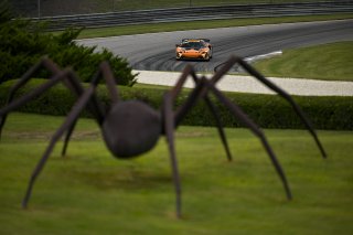 #33 McLaren Artura GT4 of Tony Gaples and Michael Cooper, Blackdog Racing, GT4 America, Pro-Am, SRO America, Barber Motorsports Park, Birmingham, AL, Sept 5 - 7, 2025
 | Fred Hardy Jr. | www.FredHardyPhoto.com ©2025 