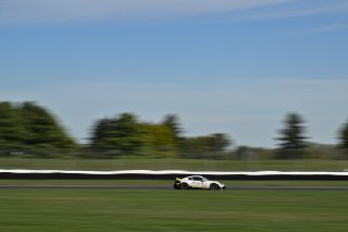 #9 Porsche 718 Cayman GT4 RS Clubsport of Dan Sibille / Loek Hartog, ACI Motorsports, GT4 America, Pro-Am, SRO America, Indianapolis Motor Speedway, Indianapolis, IN, Oct 16–19, 2025
 | Fred Hardy | www.FredHardyPhoto.com ©2025