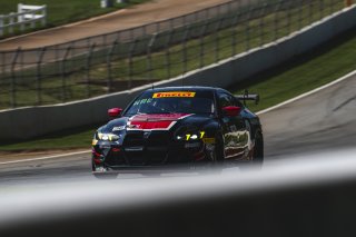 #36 BMW M4 GT4 (G82) EVO of James Walker Jr. and James Clay, BimmerWorld, GT4 America, Am, SRO America, Road Atlanta, Braselton, GA, June 12 - 14, 2026
 | Fred Hardy | www.echoandorigin.studio &copy;2026