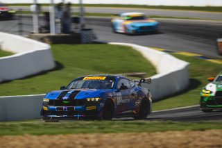 #77 Ford Mustang GT4 (S650) of Michael Tosi and Nolan Allaer, McCumbee McAleer Racing, GT4 America, Pro-Am, SRO America, Road Atlanta, Braselton, GA, June 12 - 14, 2026
 | Fred Hardy | www.echoandorigin.studio &copy;2026