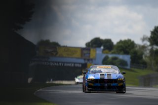 #77 Ford Mustang GT4 (S650) of Michael Tosi and Nolan Allaer, McCumbee McAleer Racing, GT4 America, Pro-Am, SRO America, Road America, Elkhart Lake, WI, Aug 27 - 30, 2026
 | Fred Hardy | Echo & Origin | www.echoandorigin.studio &copy;2026