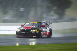 #36 BMW M4 GT4 (G82) EVO of James Walker Jr. and James Clay, BimmerWorld, GT4 America, Am, SRO America, Road America, Elkhart Lake, WI, Aug 27 - 30, 2026
 | Fred Hardy | Echo & Origin | www.echoandorigin.studio &copy;2026