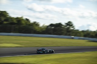#81 Mercedes-AMG GT4 of Wes Humphryes and Mike Ogren, BSG Motorsports, GT4 America, Pro-Am, SRO America, Barber Motorsport Park, Leeds, AL, Sept 24 - 27, 2026
 | Fred Hardy | Echo & Origin | www.echoandorigin.studio &copy;2026