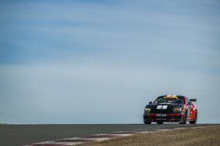 #137 Ford Mustang GT4 (S650) of Clayton Williams and Casey Moyer, LAP Motorsports, GT4 America, Silver, SRO America, Sonoma Raceway, Sonoma, CA, Mar 26 - 28, 2026
 | Fred Hardy | www.echoandorigin.studio &copy;2026