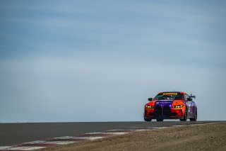 #90 BMW M4 GT4 (G82) of Jonathan Perichon and Gregory Liefooghe, Stephen Cameron Racing, GT4 America, Pro-Am, SRO America, Sonoma Raceway, Sonoma, CA, Mar 26 - 28, 2026
 | Fred Hardy | www.echoandorigin.studio &copy;2026