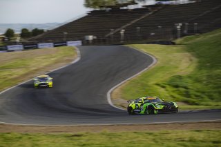 #40 Mercedes-AMG GT4 of Kevin Clifford and Harry Gottsacker, Off Leash Motorsports, GT4 America, TBC, SRO America, Sonoma Raceway, Sonoma, CA, Mar 26 - 28, 2026
 | Fred Hardy | www.echoandorigin.studio &copy;2026