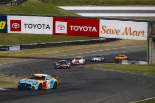 #37 Mercedes-AMG GT4 of Ed Killeen and Laura Hayes, Dome Motorsport, GT4 America, Am, SRO America, Sonoma Raceway, Sonoma, CA, Mar 26 - 28, 2026
 | Fred Hardy | www.echoandorigin.studio &copy;2026