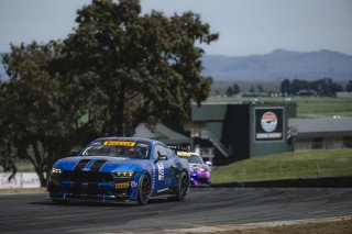 #48 Ford Mustang GT4 (S650) of Zachry Lee and Jenson Altzman, McCumbee McAleer Racing, GT4 America, Pro-Am, SRO America, Sonoma Raceway, Sonoma, CA, Mar 26 - 28, 2026
 | Fred Hardy | www.echoandorigin.studio &copy;2026