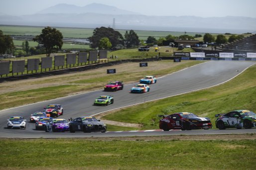 GT4 America Race 2 Start #137 Ford Mustang GT4 (S650) of Clayton Williams and Casey Moyer, LAP Motorsports, GT4 America, Silver, SRO America, Sonoma Raceway, Sonoma, CA, Mar 26 - 28, 2026
 | Fred Hardy | www.echoandorigin.studio &copy;2026