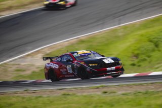 #137 Ford Mustang GT4 (S650) of Clayton Williams and Casey Moyer, LAP Motorsports, GT4 America, Silver, SRO America, Sonoma Raceway, Sonoma, CA, Mar 26 - 28, 2026
 | Fred Hardy | www.echoandorigin.studio &copy;2026