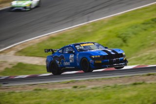 #48 Ford Mustang GT4 (S650) of Zachry Lee and Jenson Altzman, McCumbee McAleer Racing, GT4 America, Pro-Am, SRO America, Sonoma Raceway, Sonoma, CA, Mar 26 - 28, 2026
 | Fred Hardy | www.echoandorigin.studio &copy;2026