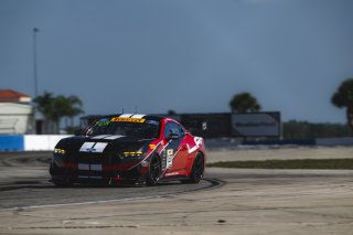#137 Ford Mustang GT4 (S650), GT4 America, SRO America, Sebring International Raceway, Sebring, FL, May 7 - 10, 2026
 | Fred Hardy | www.echoandorigin.studio &copy;2026