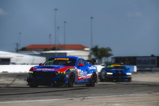 #30 Ford Mustang GT4 (S650) of Frankie Muniz and Tyler Stone, TechSport Racing, GT4 America, Am, SRO America, Sebring International Raceway, Sebring, FL, May 7 - 10, 2026
 | Fred Hardy | www.echoandorigin.studio &copy;2026