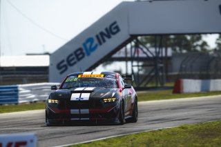 #137 Ford Mustang GT4 (S650), GT4 America, SRO America, Sebring International Raceway, Sebring, FL, May 7 - 10, 2026
 | Fred Hardy | www.echoandorigin.studio &copy;2026