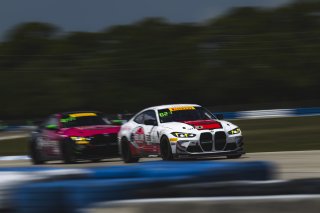 #38 BMW M4 GT4 (G82) EVO of Michael Petramalo and Tyler McQuarrie, BimmerWorld, GT4 America, Pro-Am, SRO America, Sebring International Raceway, Sebring, FL, May 7 - 10, 2026
 | Fred Hardy | www.echoandorigin.studio &copy;2026