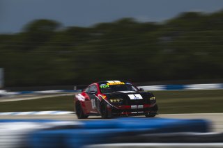 #137 Ford Mustang GT4 (S650), GT4 America, Pro-Am, SRO America, Sebring International Raceway, Sebring, FL, May 7 - 10, 2026
 | Fred Hardy | www.echoandorigin.studio &copy;2026