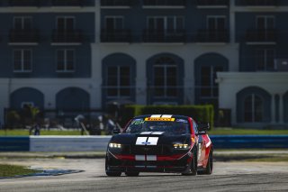#137 Ford Mustang GT4 (S650), GT4 America, Pro-Am, SRO America, Sebring International Raceway, Sebring, FL, May 7 - 10, 2026
 | Fred Hardy | www.echoandorigin.studio &copy;2026