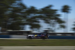 #413 BMW M4 GT4 (G82) of Zach Lumsden and Kris Wilson, Flying Lizard Motorsports, GT4 America, Am, SRO America, Sebring International Raceway, Sebring, FL, May 7 - 10, 2026
 | Fred Hardy | www.echoandorigin.studio &copy;2026
