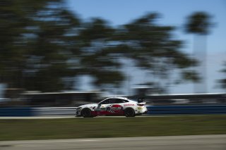 #38 BMW M4 GT4 (G82) EVO of Michael Petramalo and Tyler McQuarrie, BimmerWorld, GT4 America, Pro-Am, SRO America, Sebring International Raceway, Sebring, FL, May 7 - 10, 2026
 | Fred Hardy | www.echoandorigin.studio &copy;2026