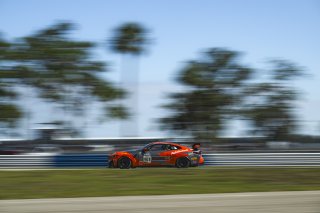 #51 BMW M4 GT4 (G82) EVO of Kevin Boehm and Francis Selldorff, Auto Technic Racing, GT4 America, Silver, SRO America, Sebring International Raceway, Sebring, FL, May 7 - 10, 2026
 | Fred Hardy | www.echoandorigin.studio &copy;2026