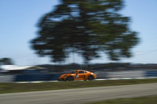 #25 Porsche 718 Cayman GT4 RS Clubsport of Damir Hot and Ryan Yardley, ACI Motorsports, GT4 America, Pro-Am, SRO America, Sebring International Raceway, Sebring, FL, May 7 - 10, 2026
 | Fred Hardy | www.echoandorigin.studio &copy;2026