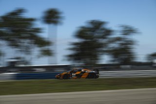 #33 McLaren Artura GT4 of Tony Gaples and Michael Cooper, Blackdog Racing, GT4 America, Pro-Am, SRO America, Sebring International Raceway, Sebring, FL, May 7 - 10, 2026
 | Fred Hardy | www.echoandorigin.studio &copy;2026