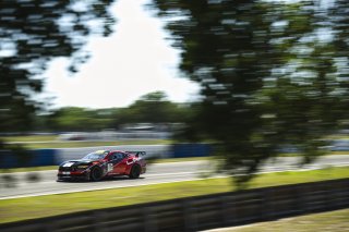 #137 Ford Mustang GT4 (S650), GT4 America, Pro-Am, SRO America, Sebring International Raceway, Sebring, FL, May 7 - 10, 2026
 | Fred Hardy | www.echoandorigin.studio &copy;2026