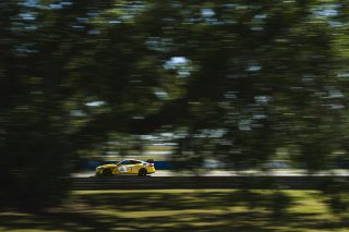 #188 BMW M4 GT4 (G82) EVO of Judson Holt and Denny Stripling, Random Vandals Racing, GT4 America, Am, SRO America, Sebring International Raceway, Sebring, FL, May 7 - 10, 2026
 | Fred Hardy | www.echoandorigin.studio &copy;2026
