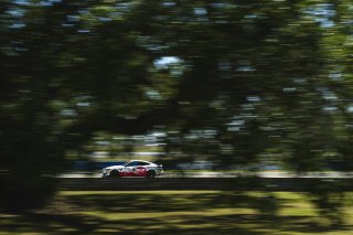 #38 BMW M4 GT4 (G82) EVO of Michael Petramalo and Tyler McQuarrie, BimmerWorld, GT4 America, Pro-Am, SRO America, Sebring International Raceway, Sebring, FL, May 7 - 10, 2026
 | Fred Hardy | www.echoandorigin.studio &copy;2026