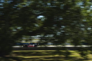 #36 BMW M4 GT4 (G82) EVO of James Clay and James Walker Jr., BimmerWorld, GT4 America, Am, SRO America, Sebring International Raceway, Sebring, FL, May 7 - 10, 2026
 | Fred Hardy | www.echoandorigin.studio &copy;2026
