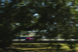#21 BMW M4 GT4 (G82) EVO of Alex Garcia and Michael Garcia, ACI Motorsports, GT4 America, Am, SRO America, Sebring International Raceway, Sebring, FL, May 7 - 10, 2026
 | Fred Hardy | www.echoandorigin.studio &copy;2026