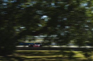 #36 BMW M4 GT4 (G82) EVO of James Clay and James Walker Jr., BimmerWorld, GT4 America, Am, SRO America, Sebring International Raceway, Sebring, FL, May 7 - 10, 2026
 | Fred Hardy | www.echoandorigin.studio &copy;2026