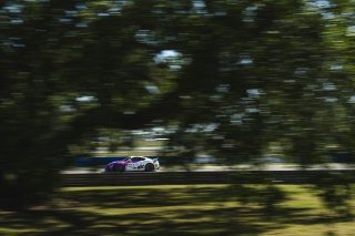 #24 Porsche 718 Cayman GT4 RS Clubsport of Ashley Freiberg and Loni Unser, Kellymoss, GT4 America, Silver, SRO America, Sebring International Raceway, Sebring, FL, May 7 - 10, 2026
 | Fred Hardy | www.echoandorigin.studio &copy;2026