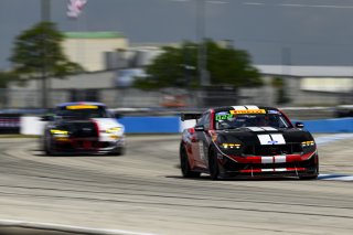 #137 GT4 America, Pro-Am, SRO America, Sebring International Raceway, Sebring, FL, May 7 - 10, 2026
 | Fred Hardy | www.echoandorigin.studio &copy;2026