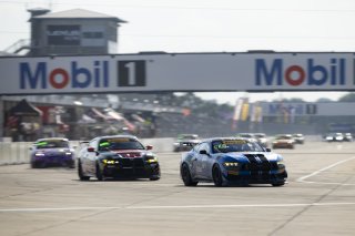 #48 Ford Mustang GT4 (S650) of Zachry Lee and Jenson Altzman, McCumbee McAleer Racing, GT4 America, Pro-Am, SRO America, Sebring International Raceway, Sebring, FL, May 7 - 10, 2026
 | Fred Hardy | www.echoandorigin.studio &copy;2026
