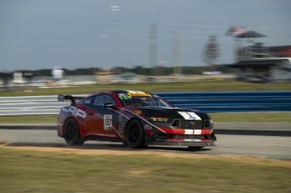 #137 Ford Mustang GT4 (S650), GT4 America, Pro-Am, SRO America, Sebring International Raceway, Sebring, FL, May 7 - 10, 2026
 | Fred Hardy | www.echoandorigin.studio &copy;2026