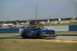 #48 Ford Mustang GT4 (S650) of Zachry Lee and Jenson Altzman, McCumbee McAleer Racing, GT4 America, Pro-Am, SRO America, Sebring International Raceway, Sebring, FL, May 7 - 10, 2026
 | Fred Hardy | www.echoandorigin.studio &copy;2026