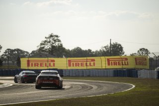 #51 BMW M4 GT4 (G82) EVO of Kevin Boehm and Francis Selldorff, Auto Technic Racing, GT4 America, Silver, SRO America, Sebring International Raceway, Sebring, FL, May 7 - 10, 2026
 | Fred Hardy | www.echoandorigin.studio &copy;2026