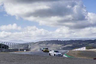 Action, Pirelli GT4 America, Race 1, WeatherTech Raceway Laguna Seca, March 29, 2019.  (SRO/Brian Cleary)
 | SRO Motorsports Group