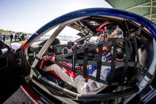 #50, Panoz Avezzano GT4, Ian James, GT4, VIRginia International Raceway, Alton VA
 | Brian Cleary/SRO
